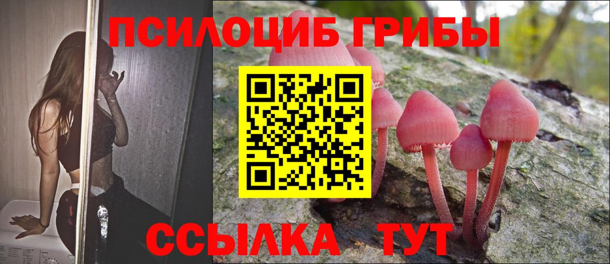Псилоцибиновые грибы ЛСД Лесозаводск