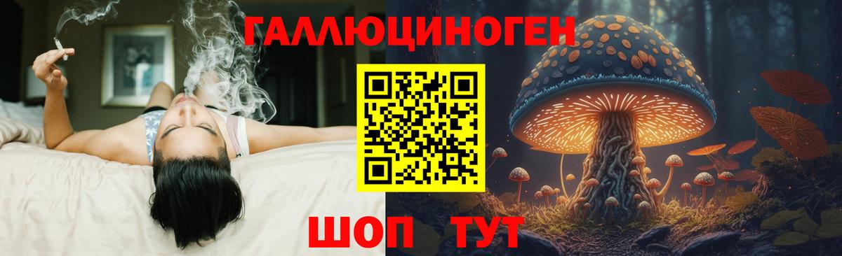 Псилоцибиновые грибы Psilocybine cubensis  Вход с VPN  Лесозаводск 